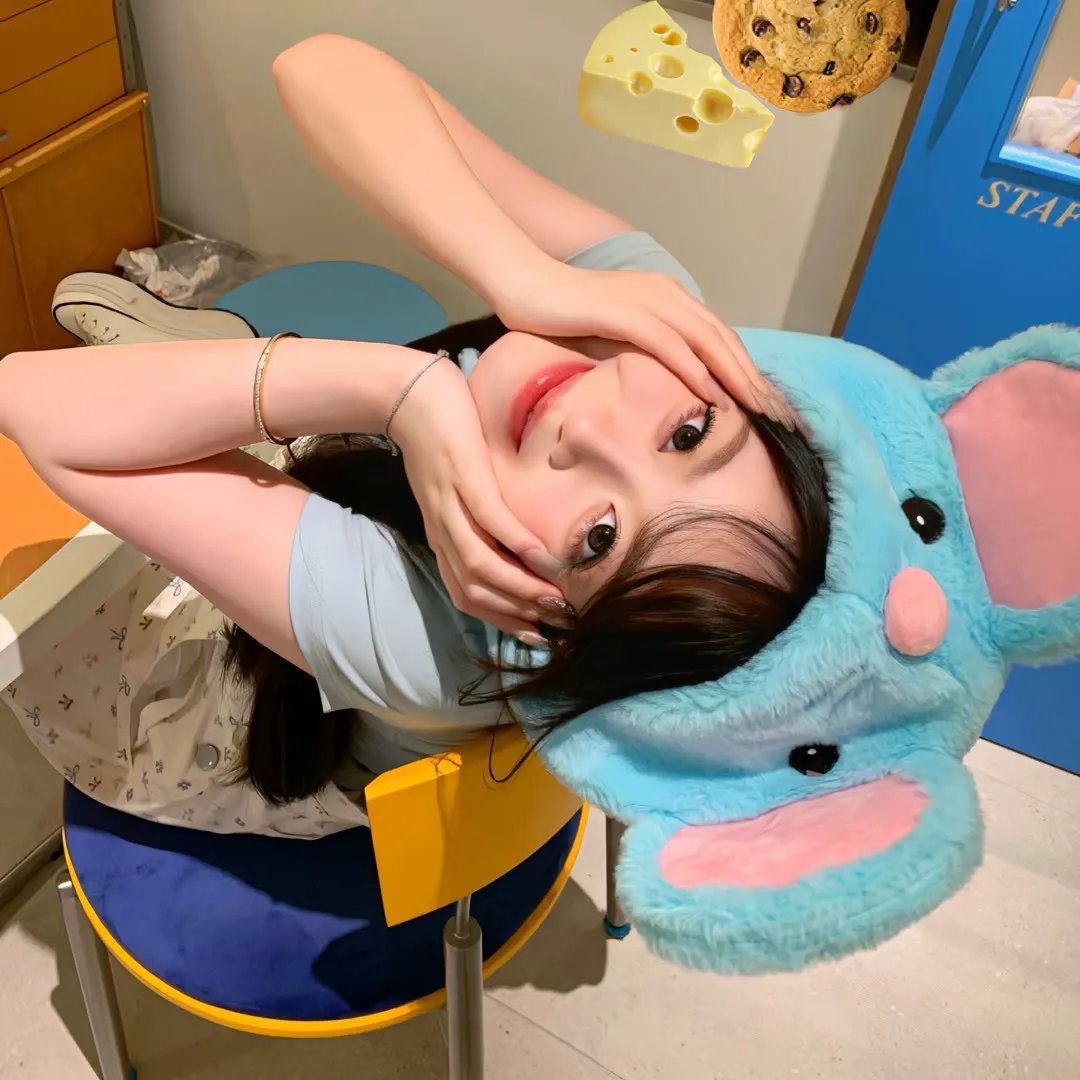 红狐 海报